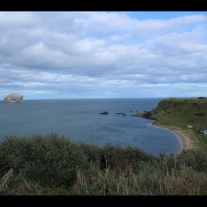 Meet your Posher, Mercy